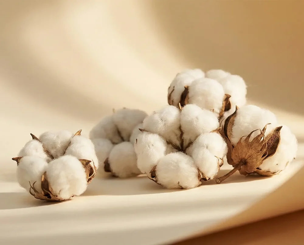 Cotton image