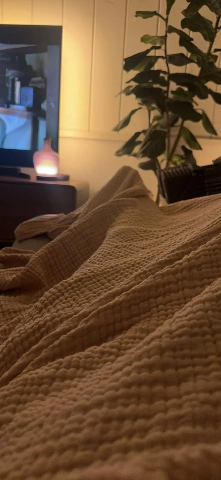 Warm without feeling stuffy